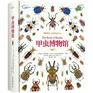 甲虫博物馆 博物文库自然博物馆丛书 甲虫习性食性采集收藏鉴定方法 甲虫研究参考书收藏爱好者工具书科普读物 北京大学旗舰店正版