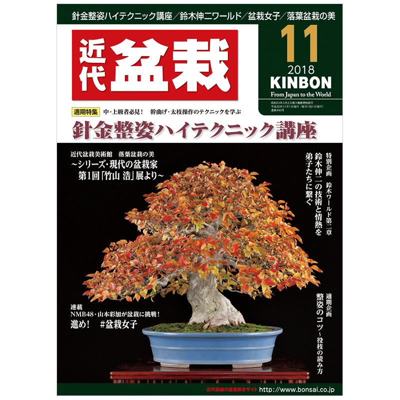 【订阅】 月刊近代盆栽 盆栽景观杂志 日本日文原版 年订12期 E372 善本图书