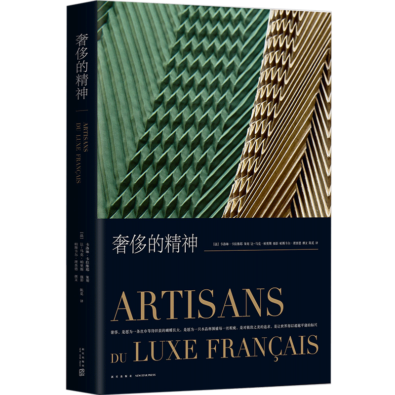 正版现货 奢侈的精神 卡洛琳.卡拉维耶 (法)帕斯卡尔 理查德 美术 中信