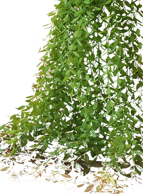 藤蔓绿色植物墙塑料壁挂人造花