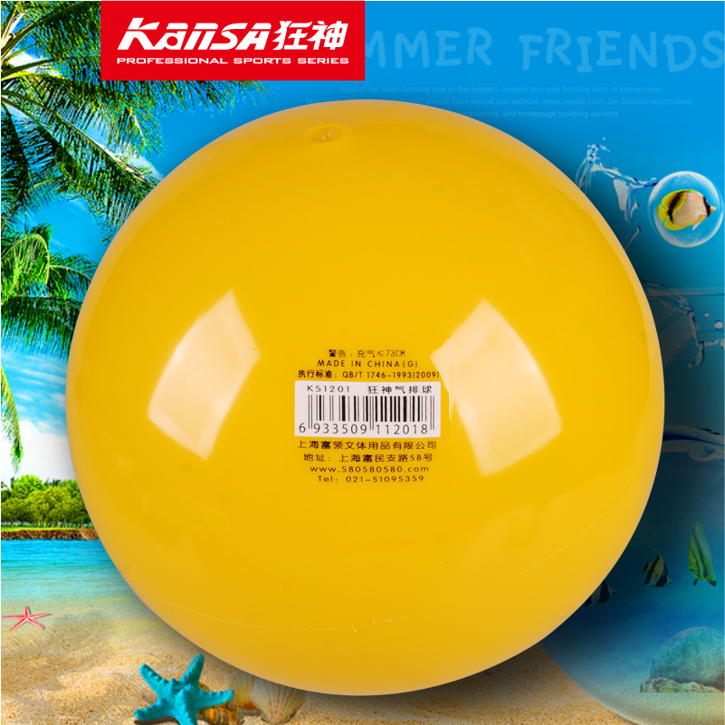 Ballon de volley - Ref 2012678 Image 1