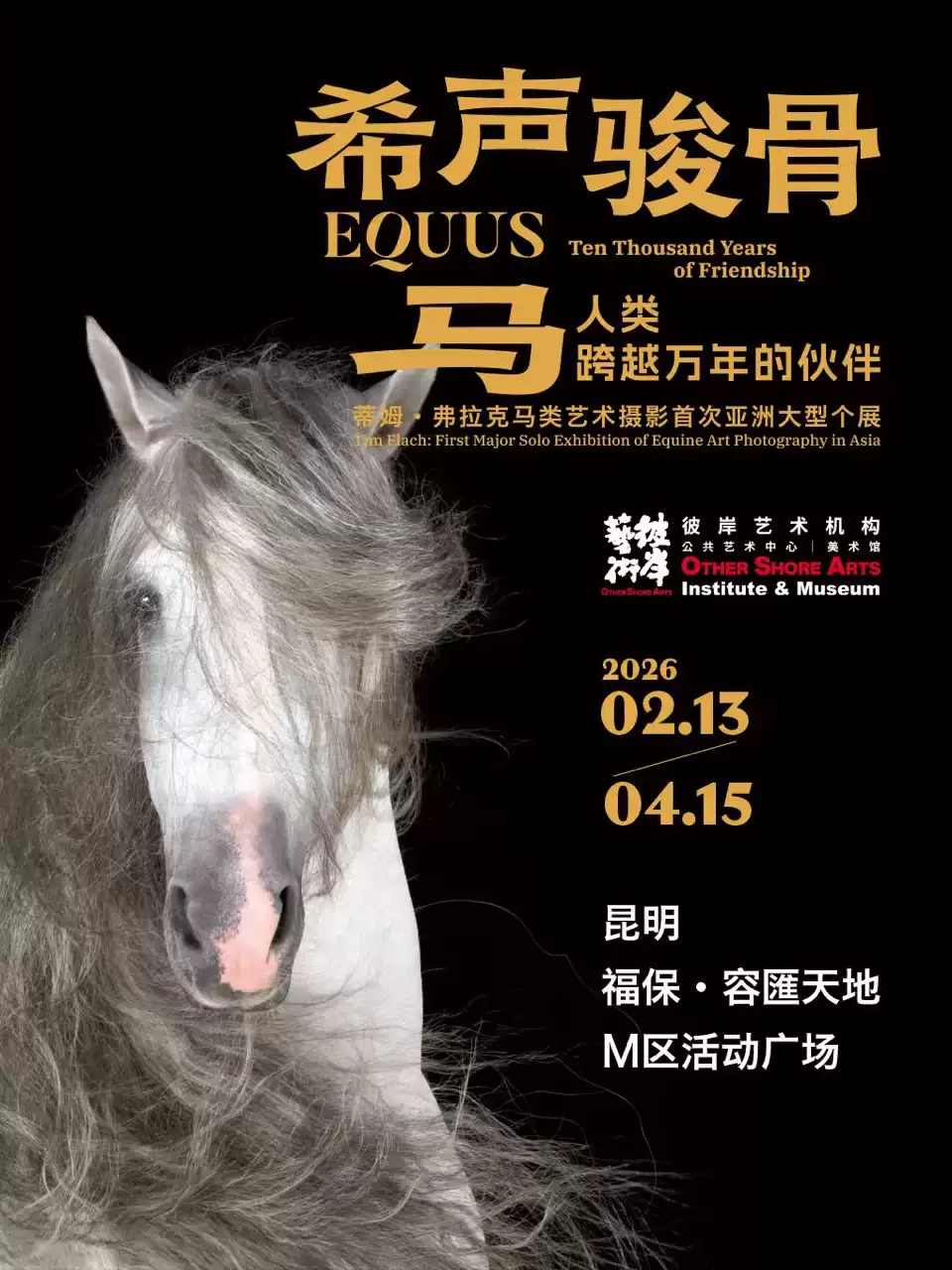 希声骏骨·马——人类跨越万年的伙伴，蒂姆·弗拉克马类艺术摄影首次亚洲大型个展