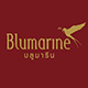 blumarine海外旗舰店