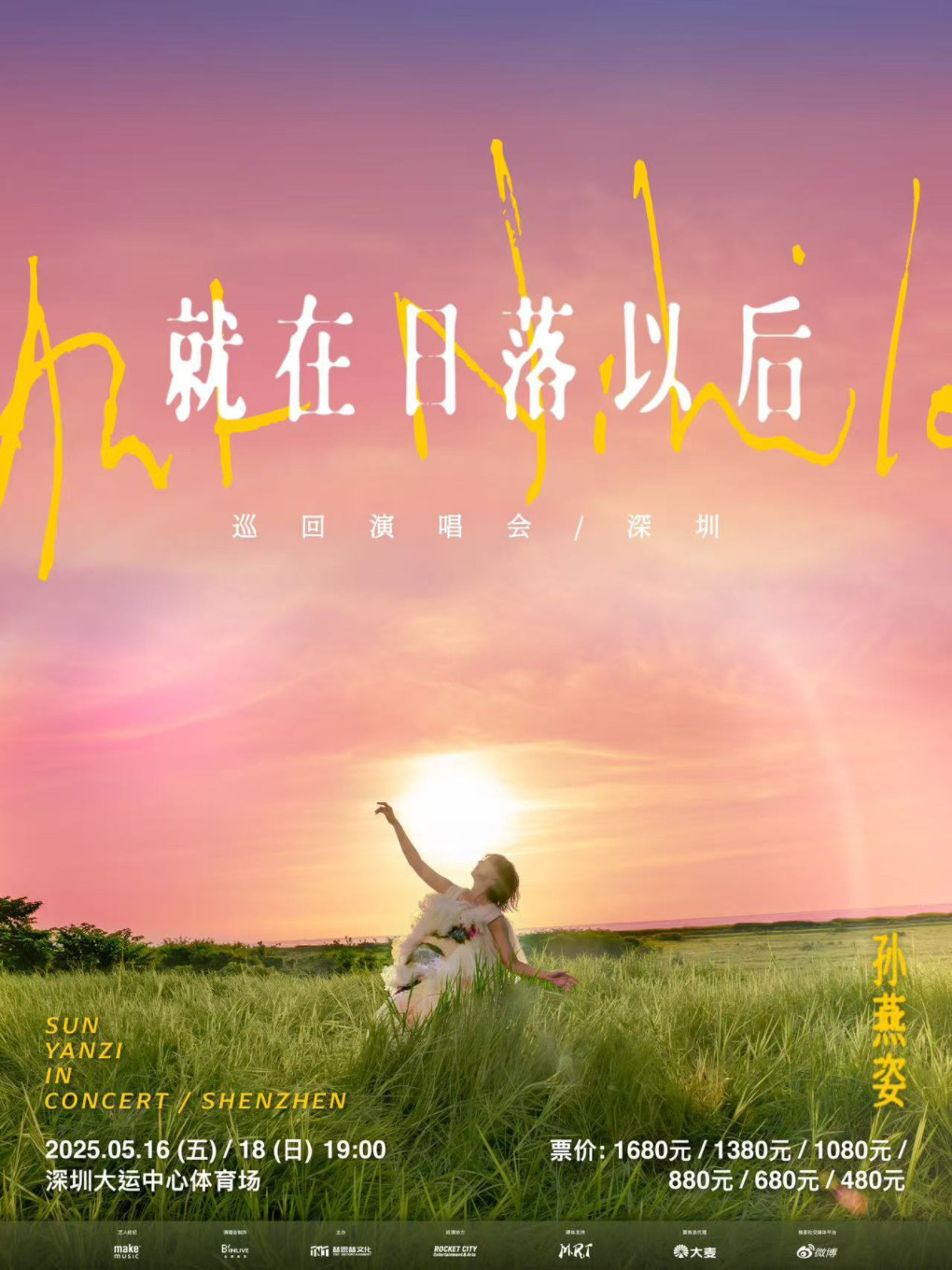 孙燕姿深圳演唱会