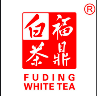 放心老白茶店