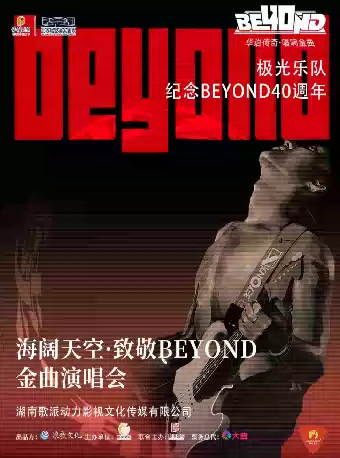 第二届临空港流行音乐嘉年华--海阔天空·致敬BEYOND金曲演唱会