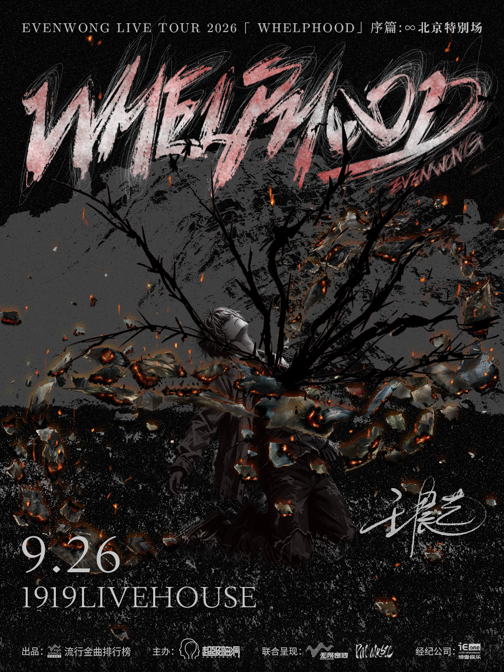 王晨艺2026个人巡演「WHELPHOOD」序篇:∞ 北京特别场
