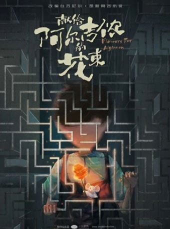 2025音乐剧 献给阿尔吉侬的花束合肥站