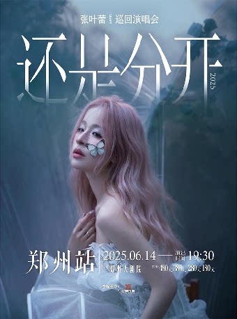 张叶蕾郑州演唱会