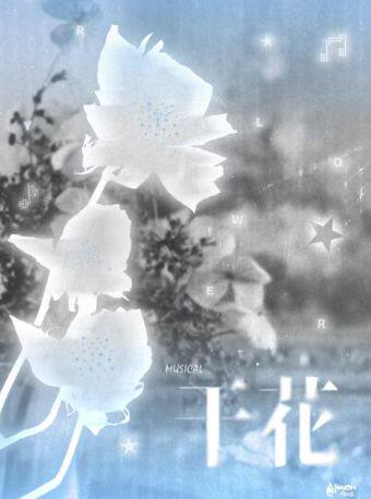 干花