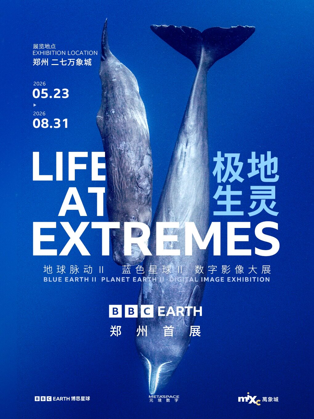 英国BBC Earth极地生灵数字影像大展