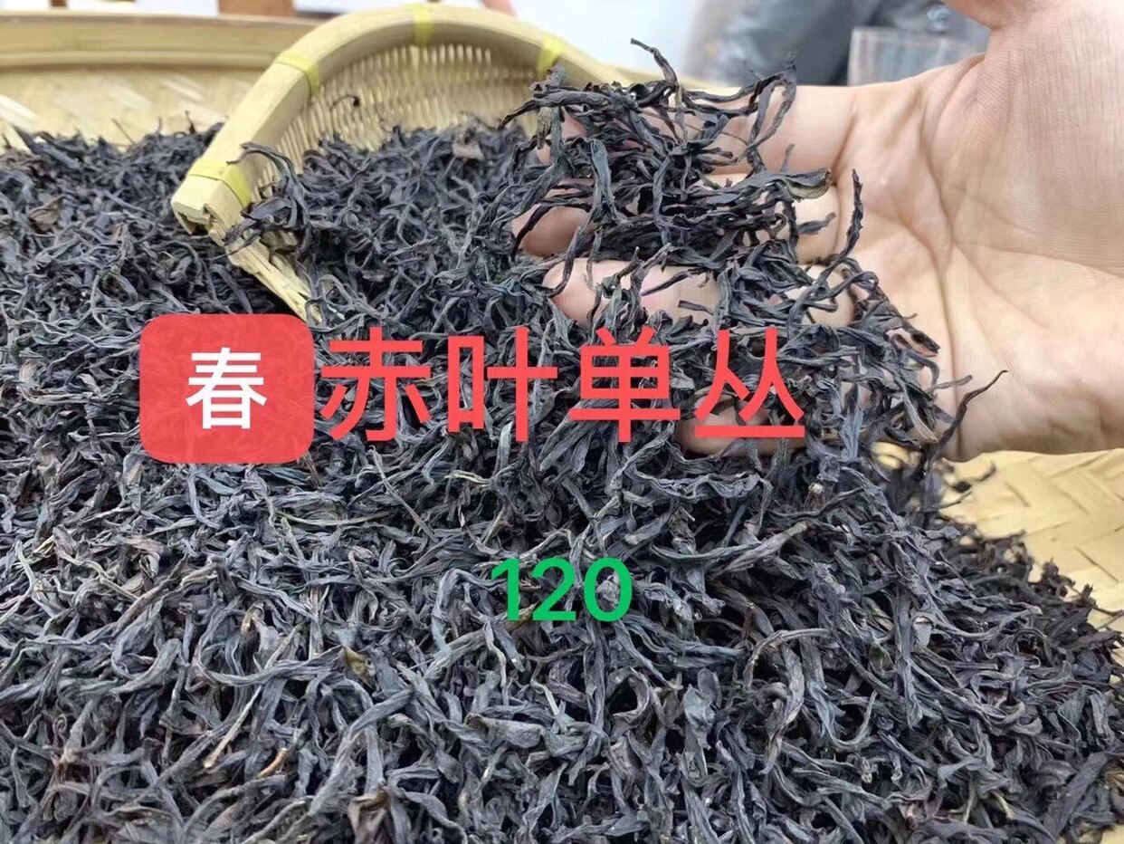 凤凰单丛茶乌栋赤叶高山古树凹富香单丛茶500克送礼盒
