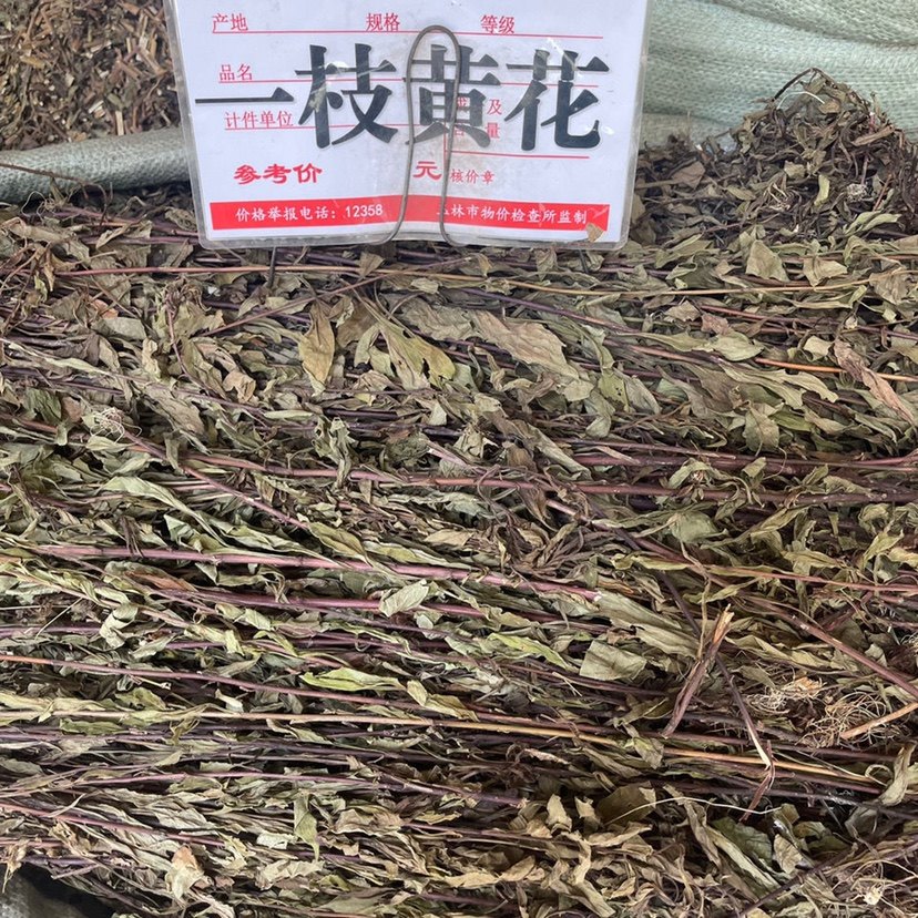一枝黄花野生中药材农家一支黄花草药老虎尿 大叶七星剑500克包邮