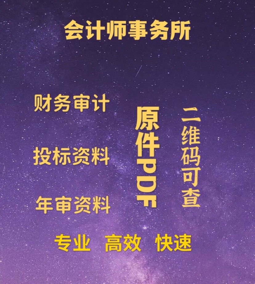 投标报告财务报表审计资料