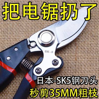 日本进口SK5钢树枝剪刀省力剪刀修枝剪果树剪刀园艺树剪子果树剪