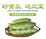 碱地旱黄瓜4斤果蔬水果脆口现摘现发顺丰包邮农家自产新鲜蔬菜