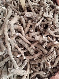 三白草根中药材 三白草天性草根 百节藕 白花莲 塘边藕 500克包邮