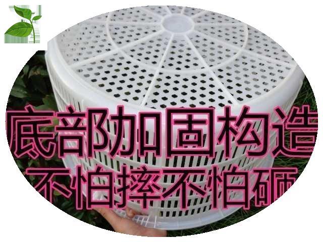 西瓜装的框塑料特大号水果筐加厚箩筐蔬菜收纳筐框子圆形