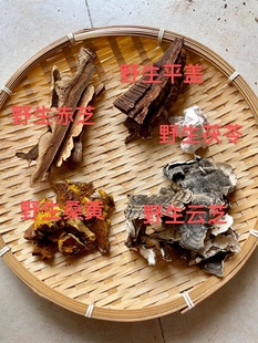 野生灵芝茶五菌汤五菌方野生赤芝桑黄云芝茯苓树舌100克/包