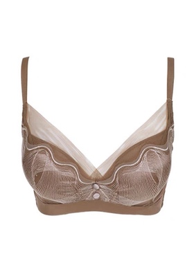 莎莲妮记忆钢圈舒适聚拢调整文胸侧收副乳BC杯中厚云感棉SA19212