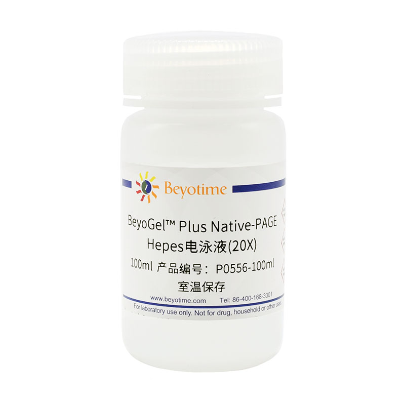 碧云天 Beyotime  P0556-100ml  P0556-500ml  BeyoGel™ Pl 办公设备/耗材/相关服务 其它 原图主图