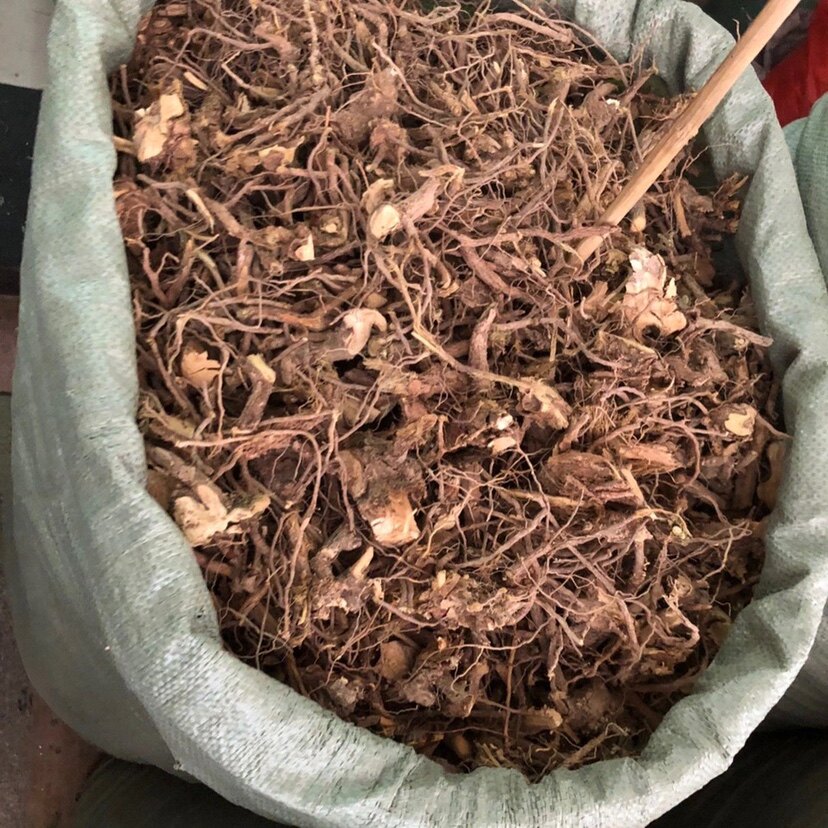 大山芝麻根500克大山麻 石秤砣 山油麻 坡油麻 仙桃草根中药材