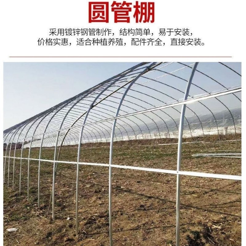 养殖大棚全套大棚骨架温室种植棚保温隔热养鸡棚羊棚牛棚养猪大棚