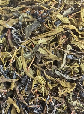 红山浓香兰花香秋茶热销爆款广东韶关仁化白毛茶特级白露老茶绿茶