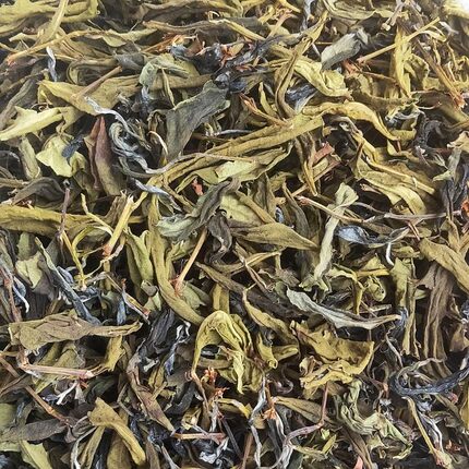 红山浓香兰花香秋茶热销爆款广东韶关仁化白毛茶特级白露老茶绿茶