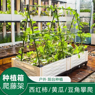 户外种植箱爬藤架黄瓜豆角西红柿架杆庭阳台院种菜专用支架葡萄架