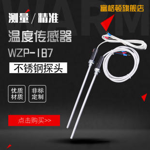 E型热电偶感温棒 187防水温度探头 Pt100温度传感器铂热电阻WZP