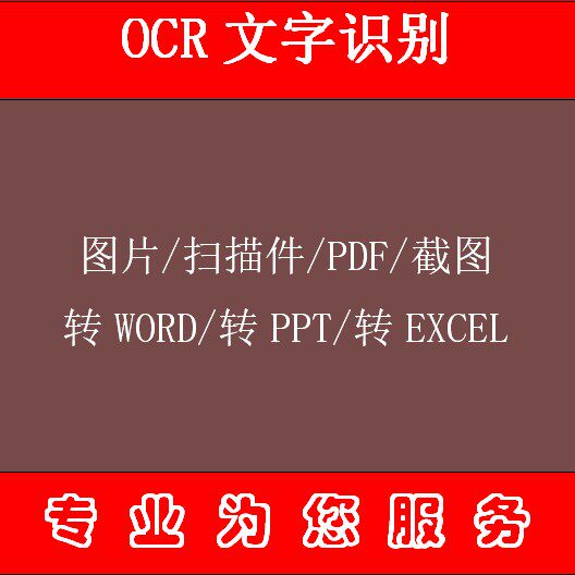 OCR文字识别PDF图片caj转可编辑格式WORD WPS EXCEL去水印加页码