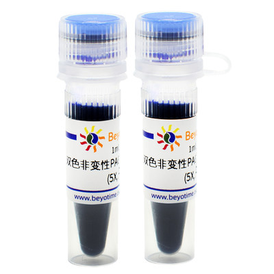 碧云天 Beyotime P0299-2ml 双色非变性PAGE蛋白上样缓冲液(5X,