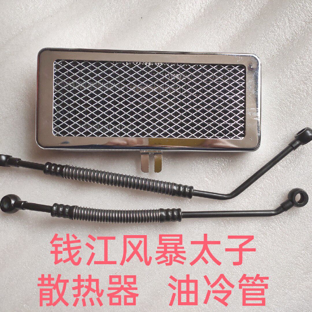钱江摩托车配件 qj125 150-3a 王中王 风暴太子油冷箱散热器