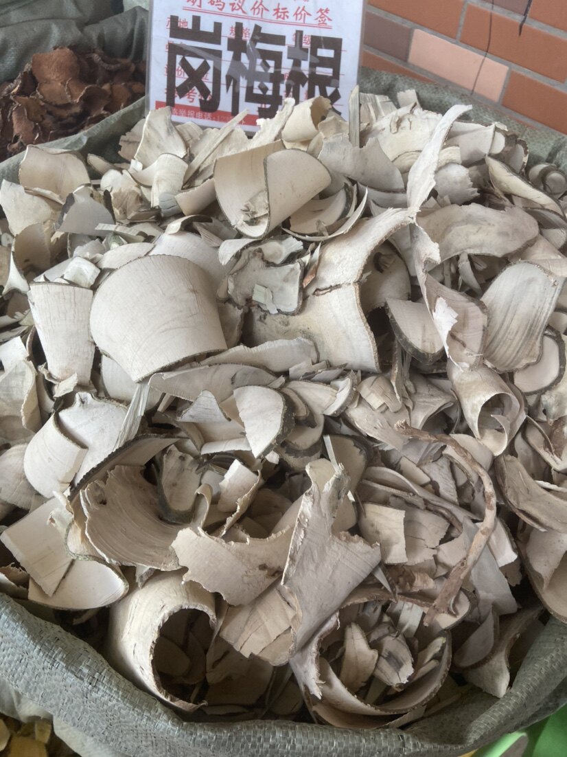 中药材岗梅根野生岗梅槽楼星秤星木白点秤500克包邮凉茶