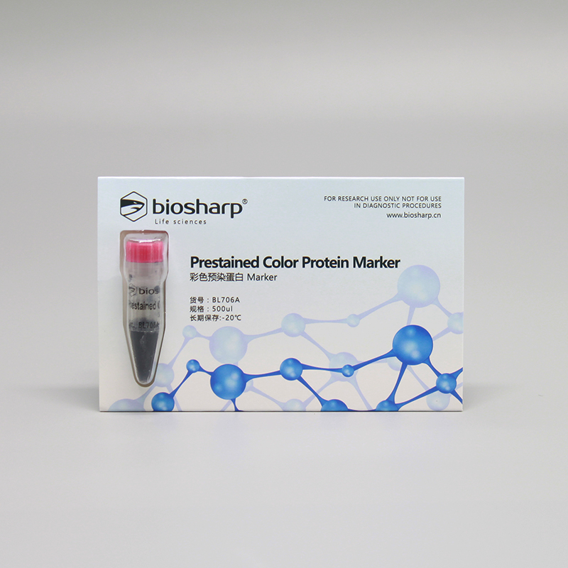 biosharp BL706A彩色预染蛋白 500ul Marker Prestained Color P