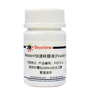 10L P0575 碧云天 Western快速转膜液 Beyotime Powder