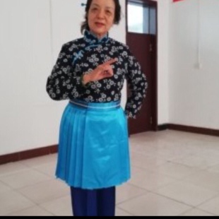 阿庆嫂百褶围裙京剧沙家浜智斗表演服村姑演出服胡传魁刁德一