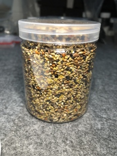 200ml混合种子收获蚁 挂机种子加纳利