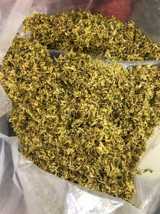 浙江乐清雁荡山原产地铁皮石斛花干泡茶煲汤食用茶饮铁皮石斛干花