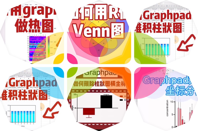 科研绘图—graphpad绘图 R绘图