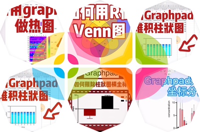 科研绘图—graphpad 绘图 R绘图