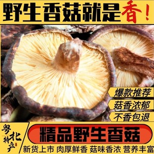 2026新鲜深山香菇韶关野生香菇粤北特产椴木香菇冬菇蘑菇干货500g
