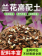 兰花专用土养兰花植料营养土君子兰蝴蝶兰种植颗粒松树皮通用肥料