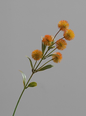 家居装饰塑料花室外工程路引花艺仿真花假花金合欢刺球花秋冬摆设