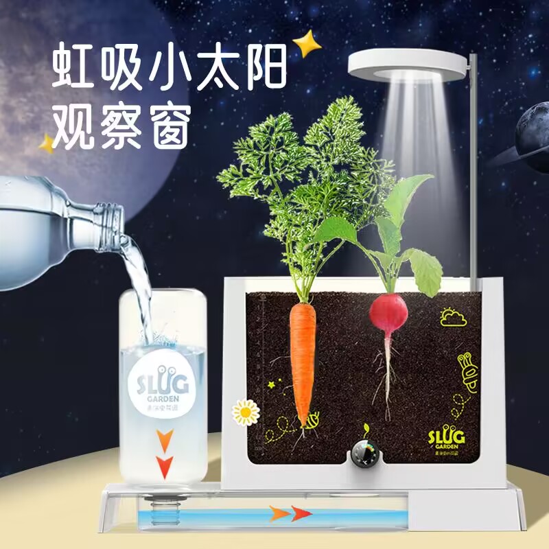 虹吸原理阳光种植房儿童实验套装植物观察窗生长生物stem科学玩具