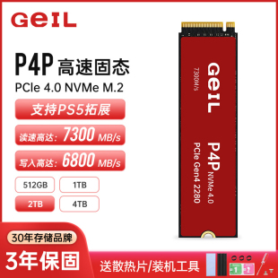 PS5台式 512G 机PCIE4.0笔记本SSD长江存储 金邦P4P固态硬盘1TB