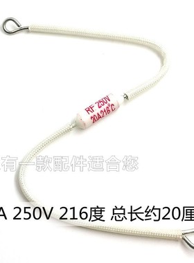 适用于大功率电饭锅煲陶瓷热熔断器RF温度保险丝管216℃ 20A 250V