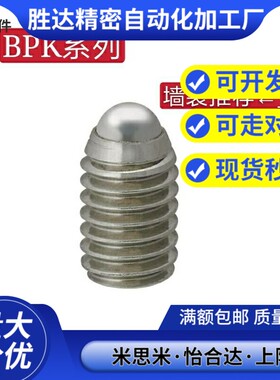 BPK3/4/5/6/8  球头柱塞短型/米制规格