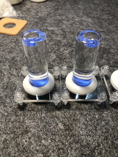 蚂蚁喂水器堵水试管喂